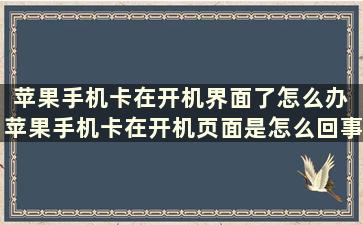 苹果手机卡在开机界面了怎么办 苹果手机卡在开机页面是怎么回事